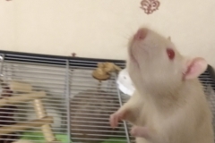 IMG_20191027_213645739