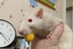 Derek with a foody find