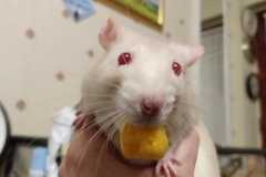 Derek with a foody find