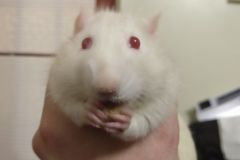 Ronnie with a foody find