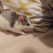 Alex exploring, Apr 2021