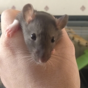 Hello from Jack, Apr 2021