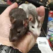 Jack and Alec, Apr 2021