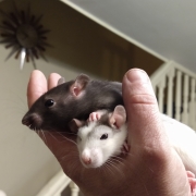 Jack and Alec, Apr 2021