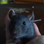 Jack, Apr 2021