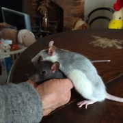 Jack and Alec, Apr 2021