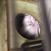 Alec sleeping, Apr 2021