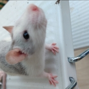 Alec exploring, Apr 2021