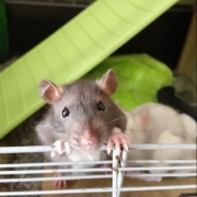 Jack and Alec, Apr 2021