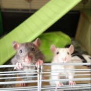 Jack and Alec, Apr 2021