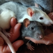 Jack and Alec, Apr 2021