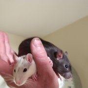 Jack and Alec, Apr 2021