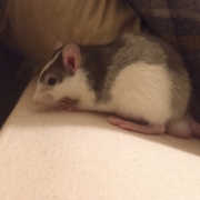 Alec exploring, Apr 2021