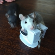 Jack and Alec, Apr 2021