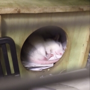 Alec sleeping, Apr 2021