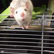 Hello from Alec, Apr 2021