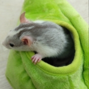 Alec in the pear, Apr 2021