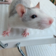 Alec exploring, Apr 2021
