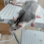 Alec exploring, Apr 2021