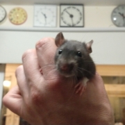 Jack looking gorgeous, Apr 2021