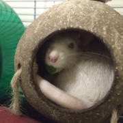 Derek holding a pea, Mar 2019