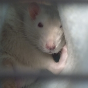 Curled up in the tube, Aug 2019