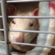 Derek in the tube, Oct 2019