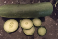 The cucumber