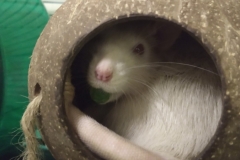 Derek holding a pea (1)