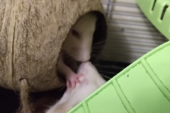 ...Derek fights back!