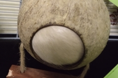 Defiant Derek hiding to avoid Ronnie's potential treat theft!