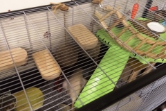 The three new lookout shelves