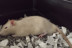 Derek cooling off during hot weather