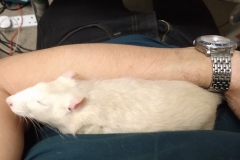 Derek resting on my arm