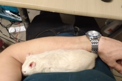 Derek resting on my arm