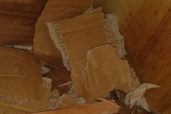 Stockpiled rat nuggets in their house and covered by card