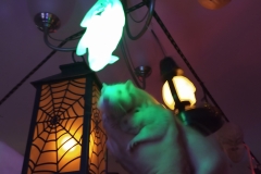 Ronnie and Derek with some spooky decorations
