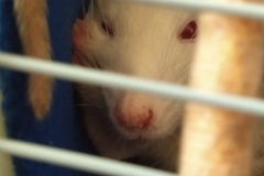 Derek curled up in the tube