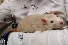 Derek resting on my arm