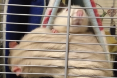 Derek making a swift retreat to the other tube
