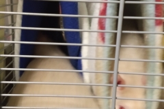 Derek making a swift retreat to the other tube