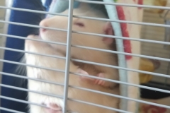 Ronnie invading Derek in the tube