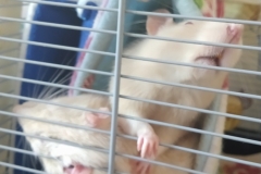 Ronnie invading Derek in the tube