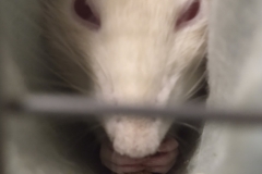 Derek enjoying a cheeky nibble in the tube